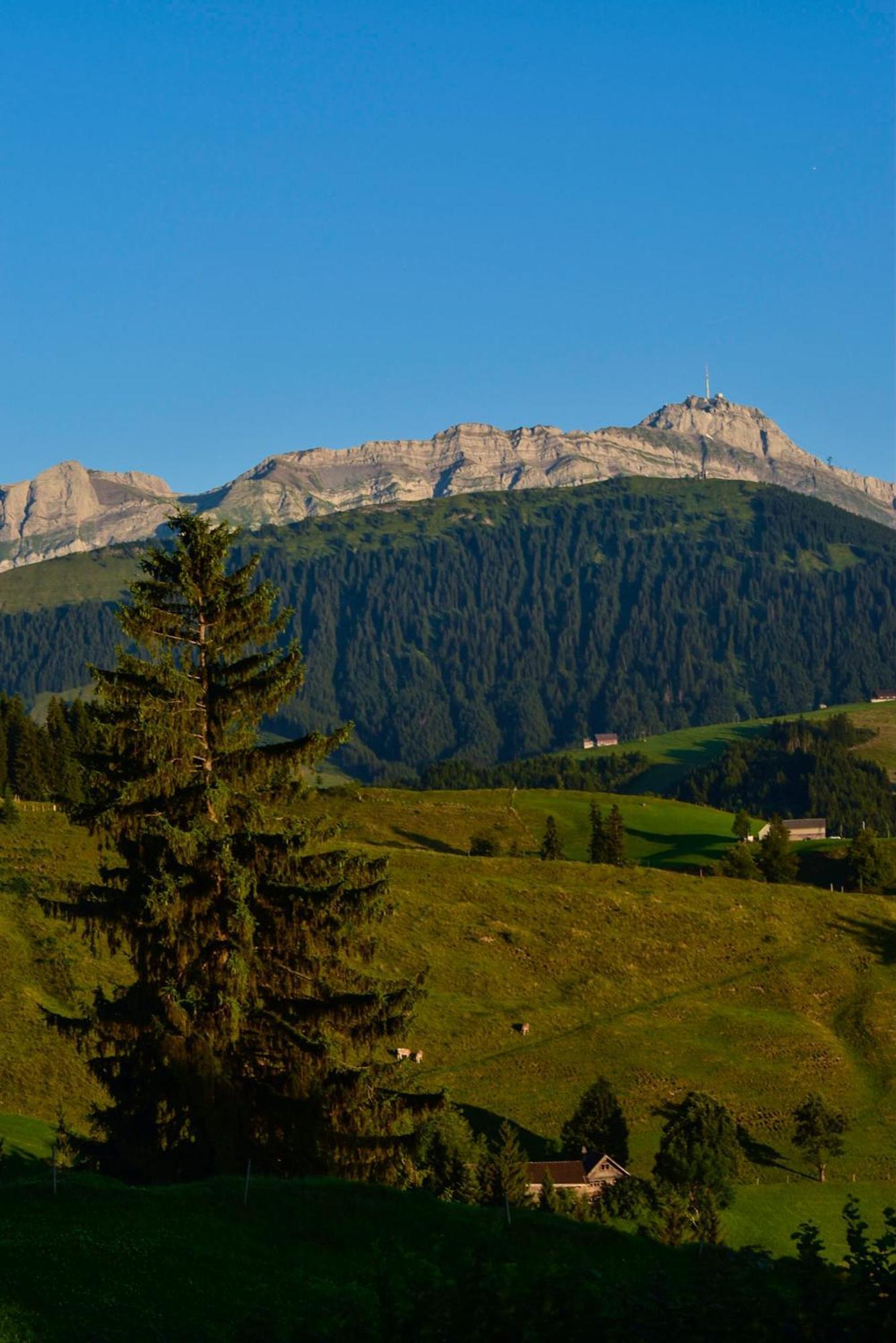Ferienwohnung In Buehler Naehe Appenzell Buhler Buitenkant foto